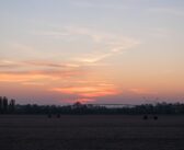 agricultural sprinkler standing in a field at dusk